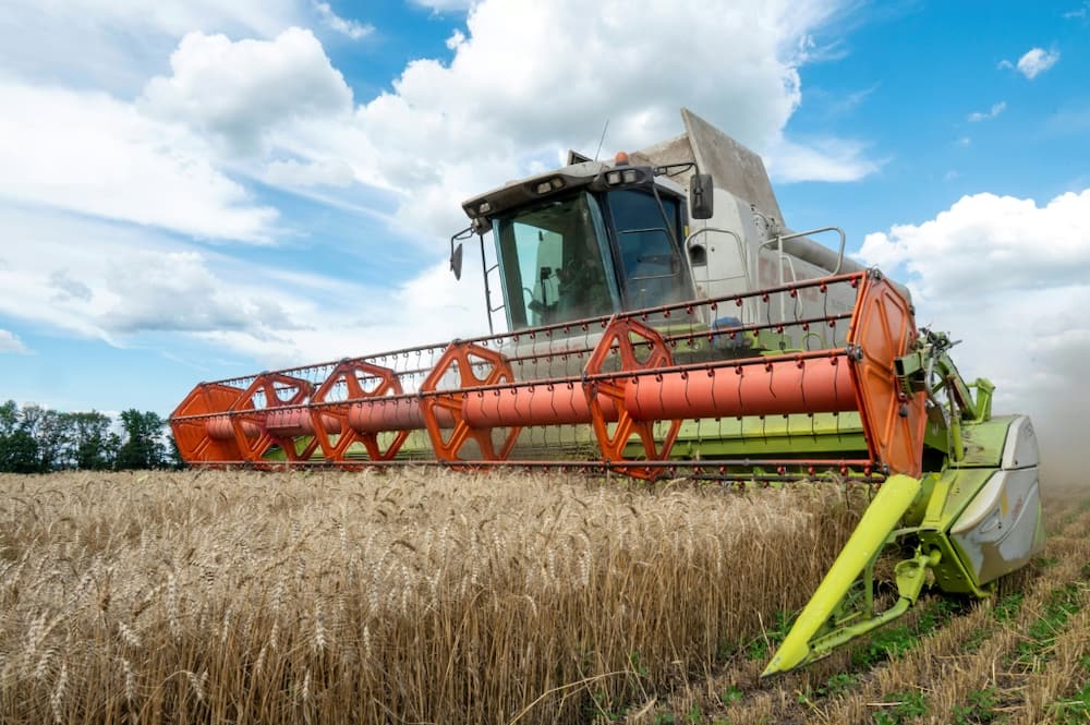 Farmers harvest a wheat field in the Ukrainian Kharkiv region on July 19, 2022, amid Russian invasion of Ukraine