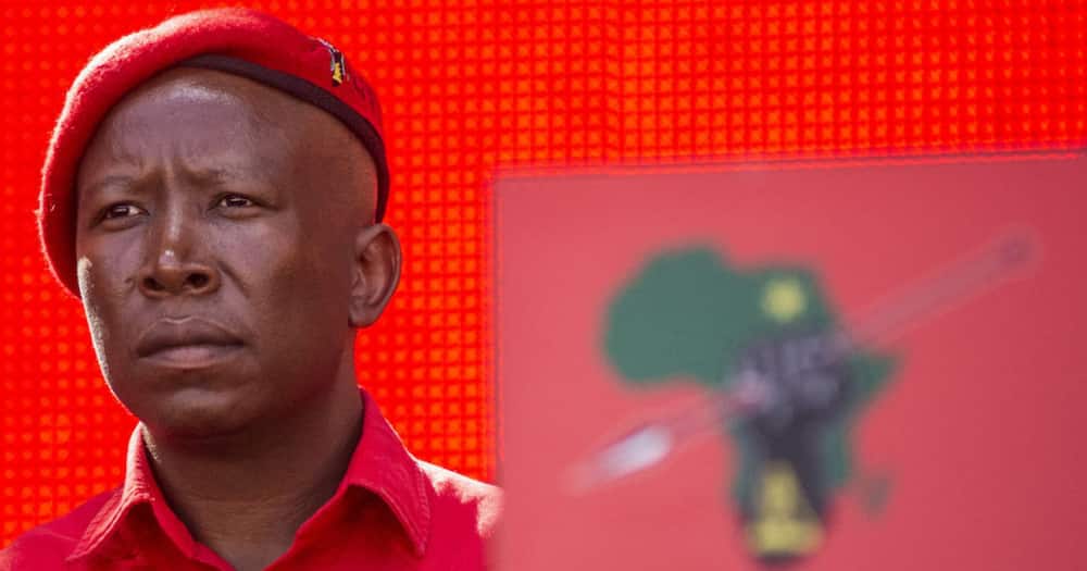 EFF: Julius Malema drags the ANC for closing borders for travel