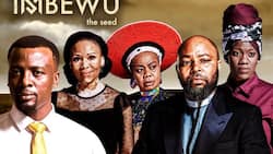 Imbewu: The Seed Teasers - November 2019