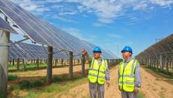 One of the world's largest solar power facilities set to be built in SA: "Significant milestone"