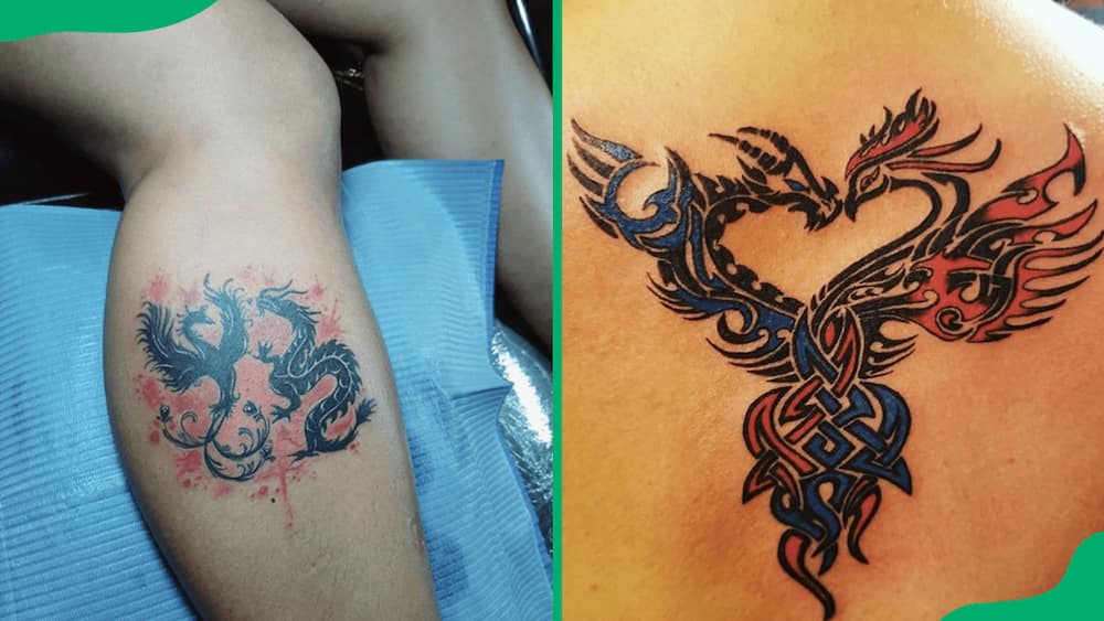 Dragon phoenix tattoos