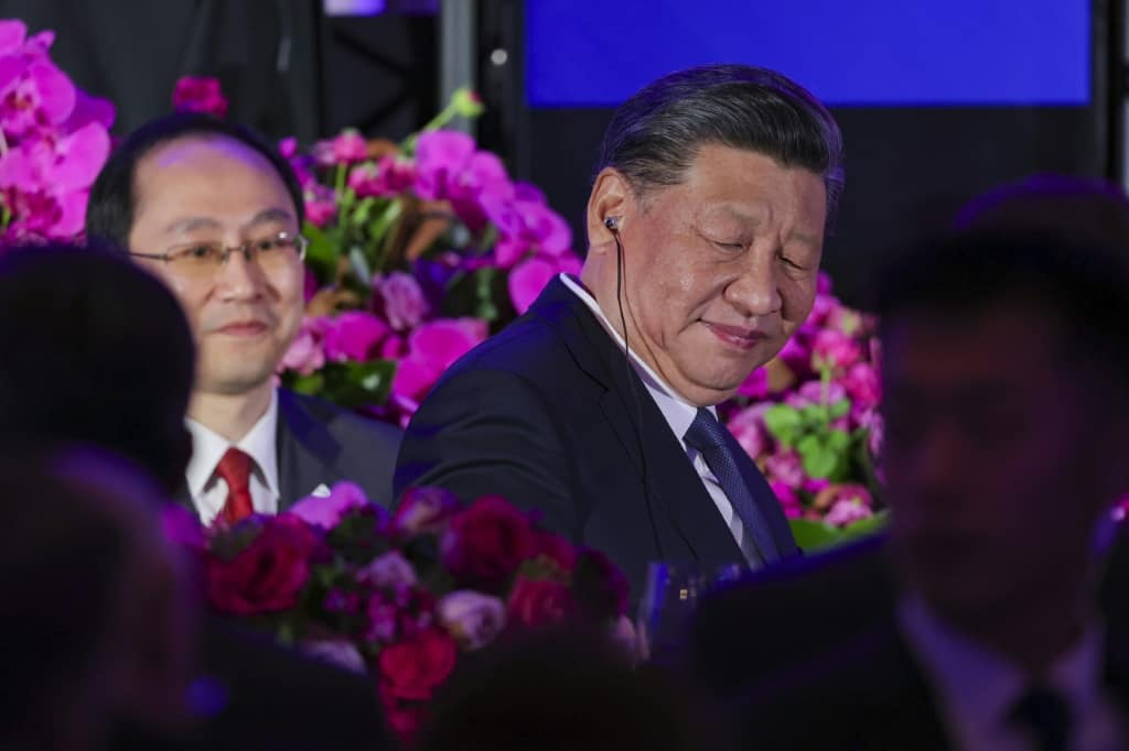 Pandas And Partnership: Was Xi's US Trip A Success? - Briefly.co.za