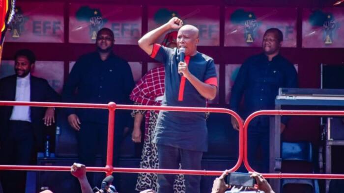 EFF's Malema says party "defeated white supremacy" in celebratory address outside Randburg Magistrates court