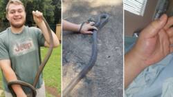 Brave snake catcher, 21, gets bitten by black mamba after rescuing it from a ceiling: “Wild and unpredictable”