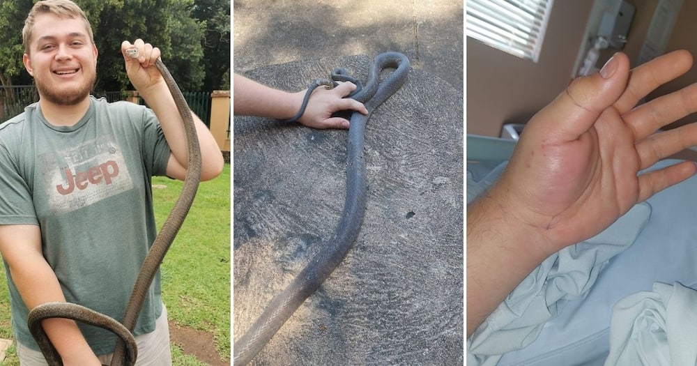 Snake Catcher, 21, Black Mamba, Bite, Limpopo