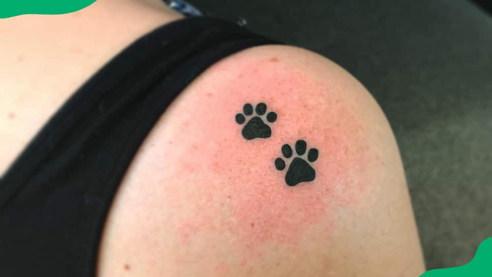 Cat paw prints tattoo