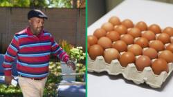 Skeem Saam: Charles Kunutu increases egg prices amid Avian flu, fans amused: "I wanted to buy there"