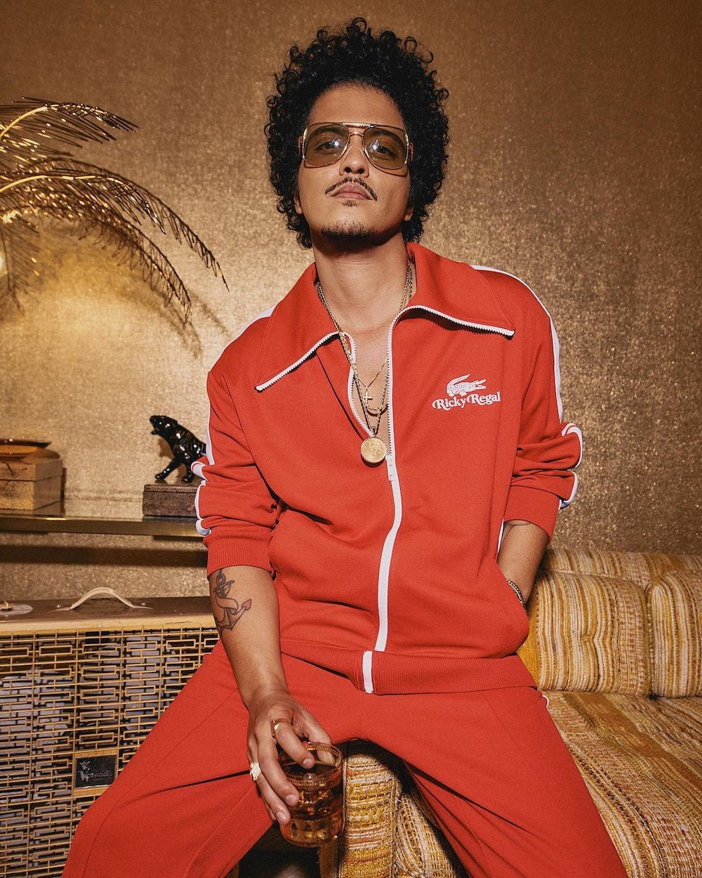 Bruno Mars: Net Worth, Age, Nationality, Partner, Parents, Songs