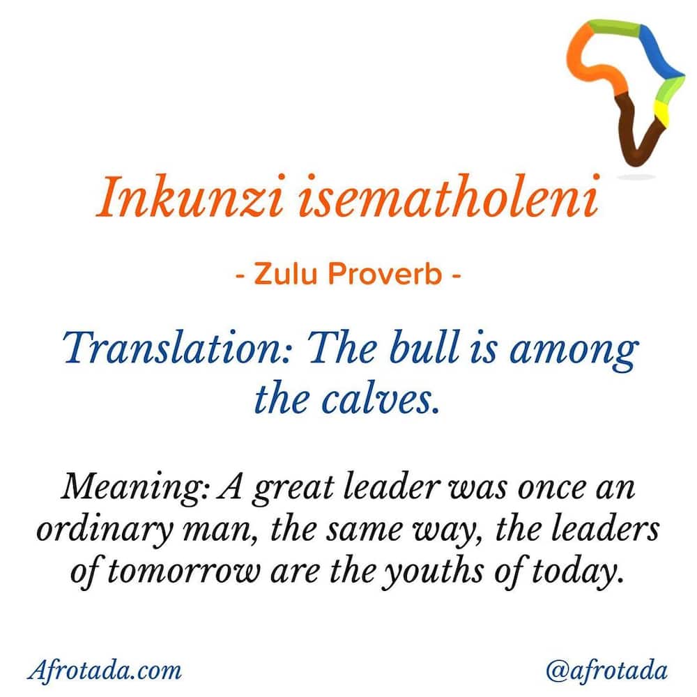 Isizulu proverbs, idioms, quotes, and words Isizulu proverbs, idioms, quotes, and words