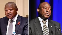 Deputy President David Mabuza says it’s too soon to ask Cyril Ramaphosa to step down over Limpopo farm theft
