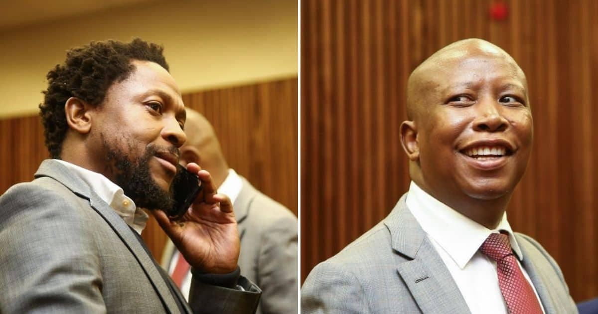 Malema And Ndlozi Found Not Guilty Of Common Assault, South Africans ...