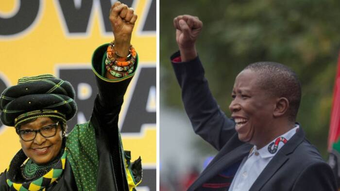EFF pays homage to Winnie Madikizela-Mandela through heartfelt posthumous birthday tweet