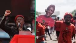 EFF's Julius Malema explains runny nose, video of speech at Moses Mabhida leaves SA worried