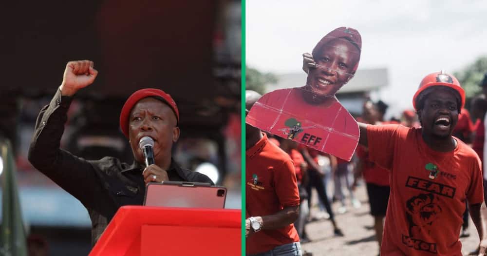 Julius Malema delivers EFF manifesto with mishap