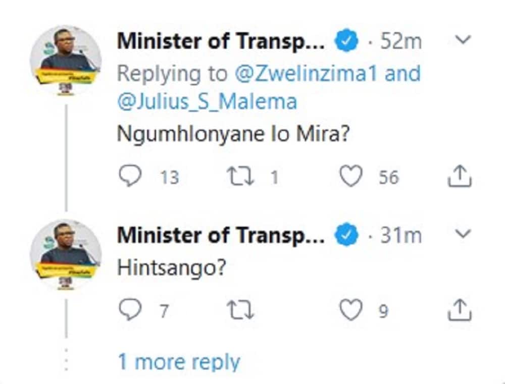 Zwelinzima Vavi praises traditional herbs, Mbalula has questions