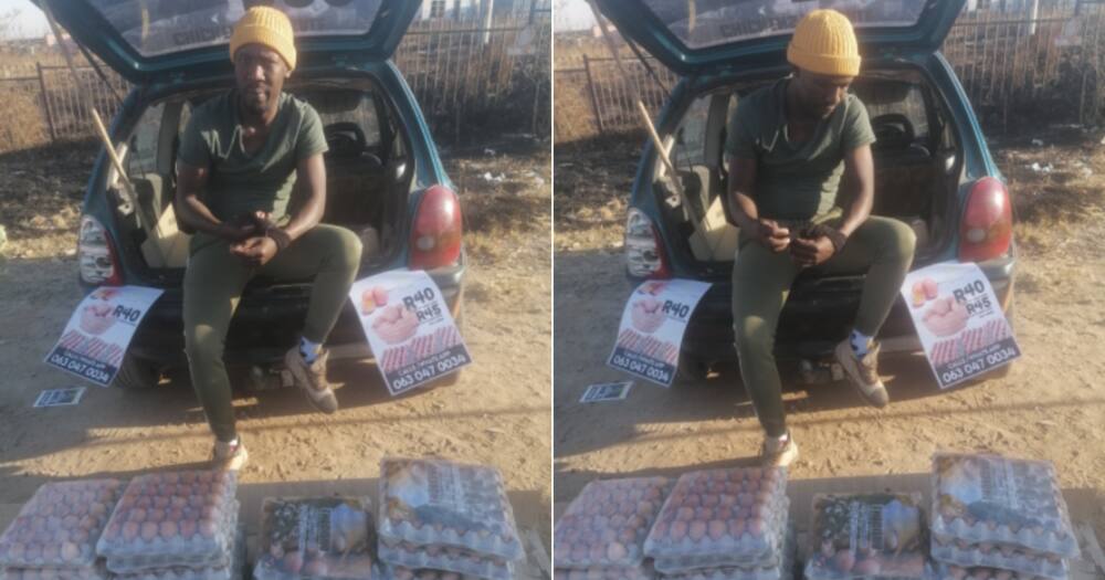 Mzansi, inspired, hustle, poultry, farming, Briefly News, poverty, lockdown, survive