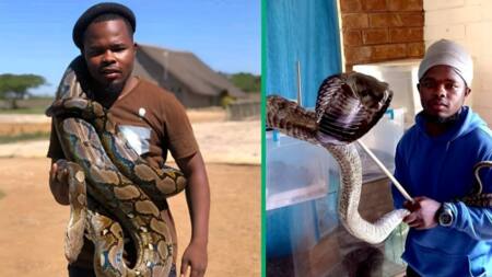 Snake enthusiast makes waves with his impressive collection, Mzansi is stunned