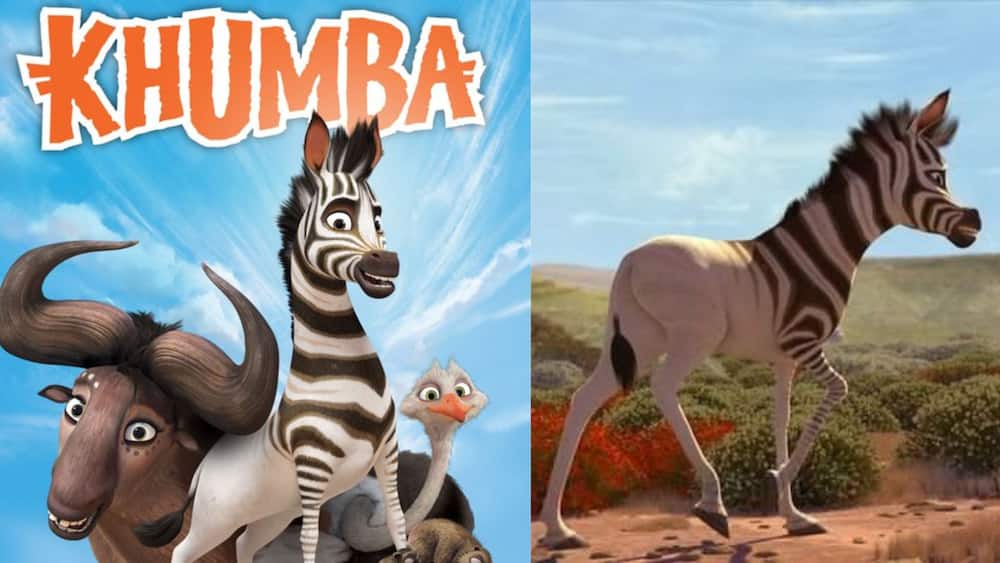 best South African movies best South African movies
