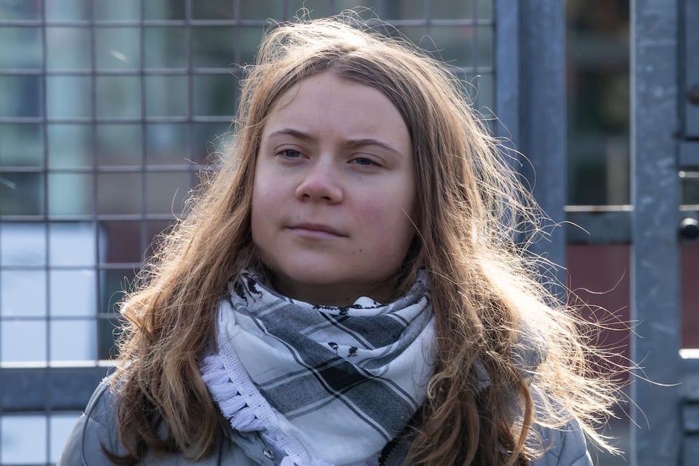 Greta Thunberg protested against private jet flights