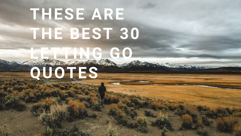30 helpful letting go quotes with images 2019