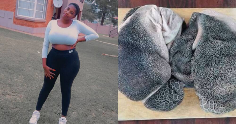 "I Thought It's a Blanket": SA Reacts Hilariously to Woman's Mogodu