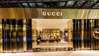 List of Gucci stores in South Africa 2022: locations, product listings, more