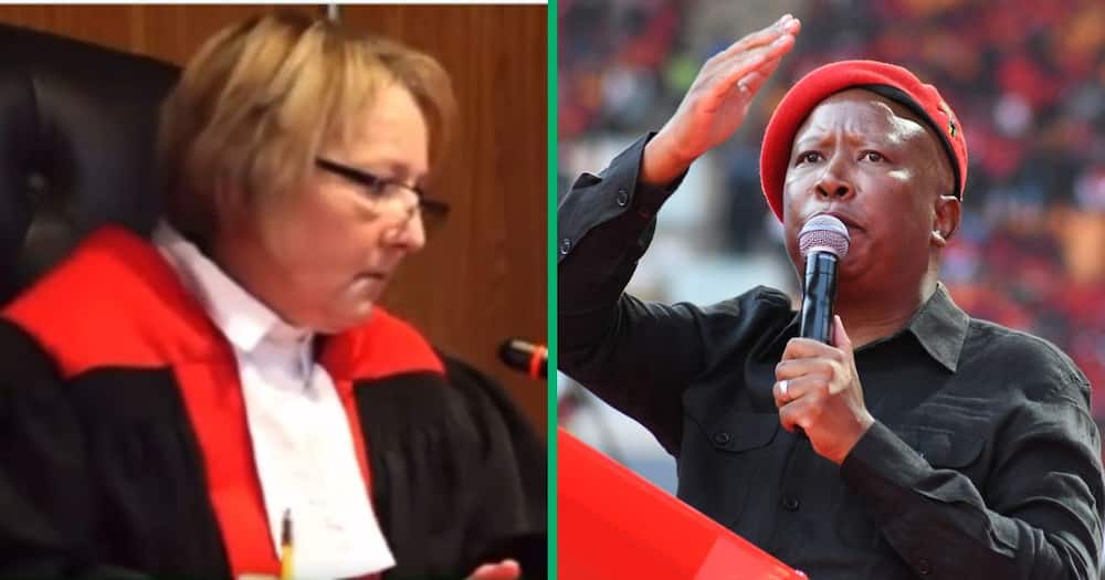 Collage image of Magistrate Twanet Olivier and EFF leader Julius Malema