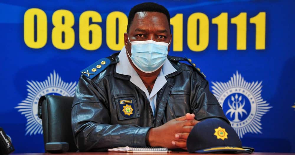 Phala farm theft police commissioner Fannie Masemola denies involvement EFF wants top cop fired