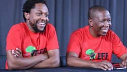 "Not Guilty": EFF leaders Julius Malema and Mbuyiseni Ndlozi beat common assault charge