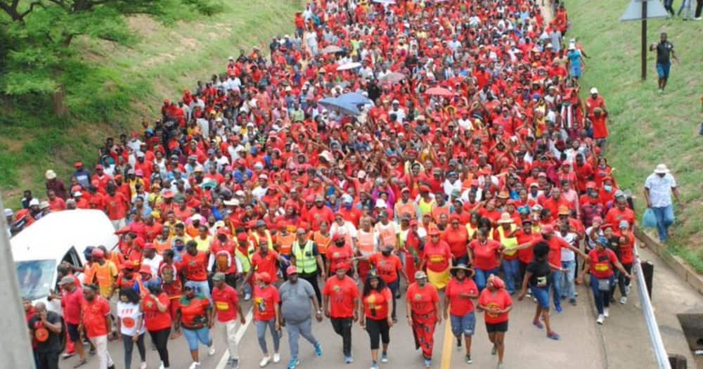 locals support EFF