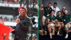 Wits sociology professor sympathizes with Julius Malema's critique of Springboks' apartheid legacy