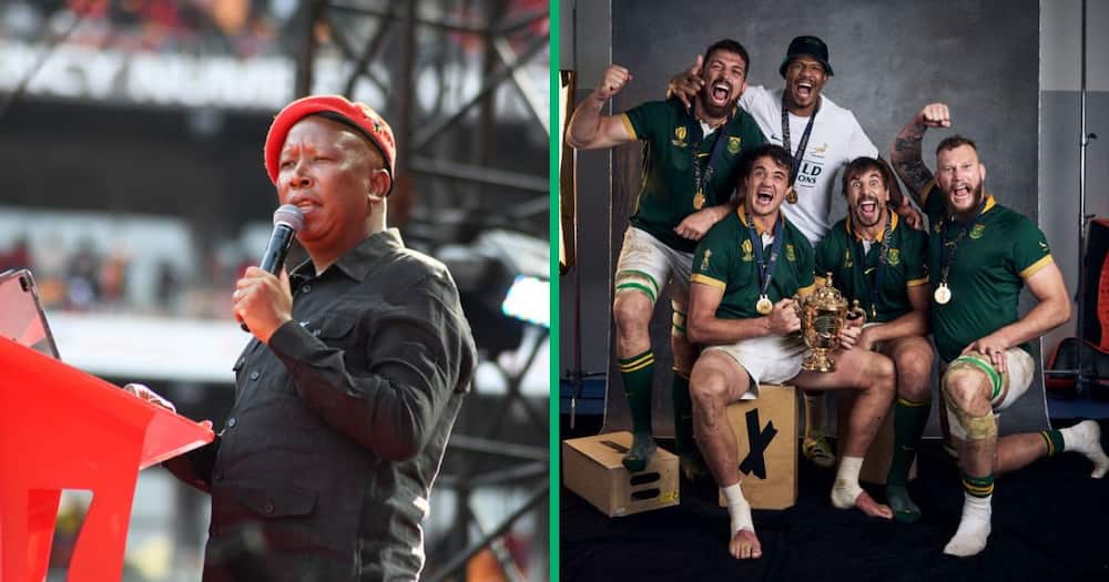 Economic Freedom Fighter's leader Julius Malema called the Springboks a symbol of apartheid