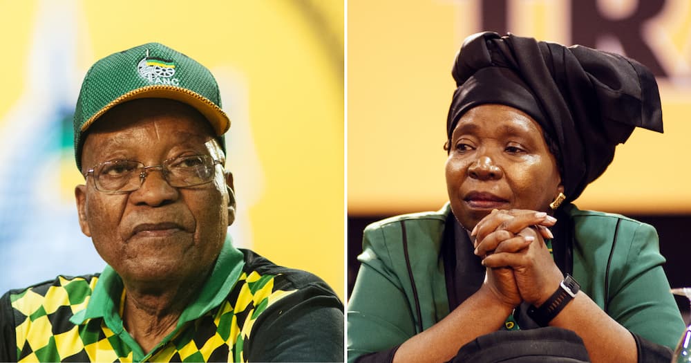 Fomer President Jacob Zuma, alongside Nkosazana Dlamini-Zuma