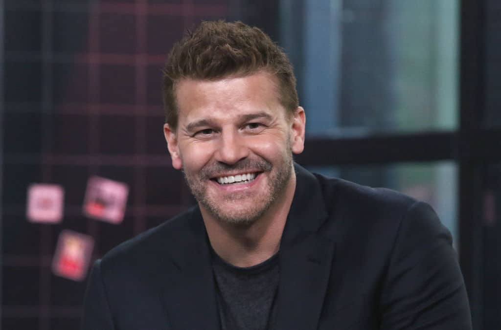 Who is Boreanaz's ex-wife, Ingrid Quinn? Everything we know - Briefly.co.za