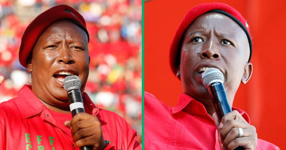 Julius Malema S Eff 10th Anniversary Speech Calls Out African Leaders Mzansi Insists He Must