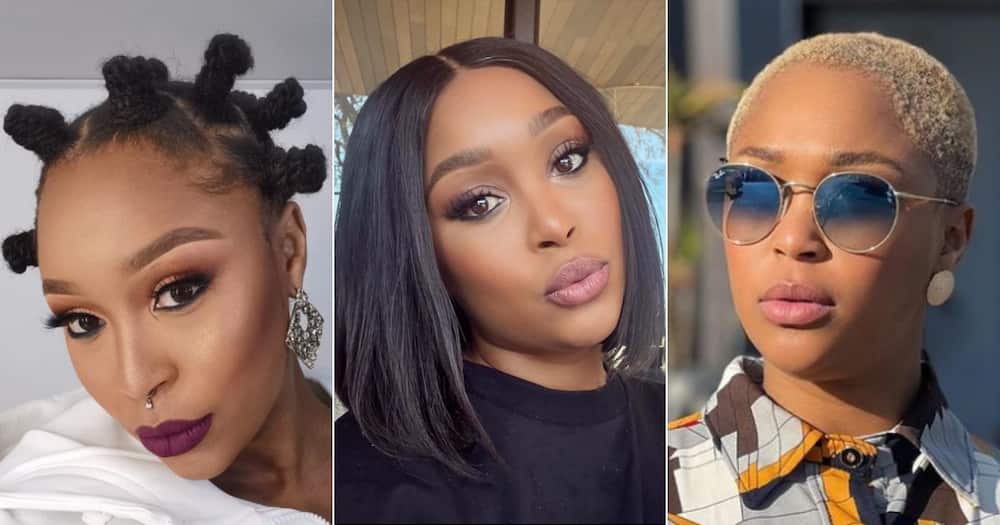 Minnie Dlamini Haircut: Look Back at TV Personality's Top 5 Hairstyles,  Including Natural Hair Moments 