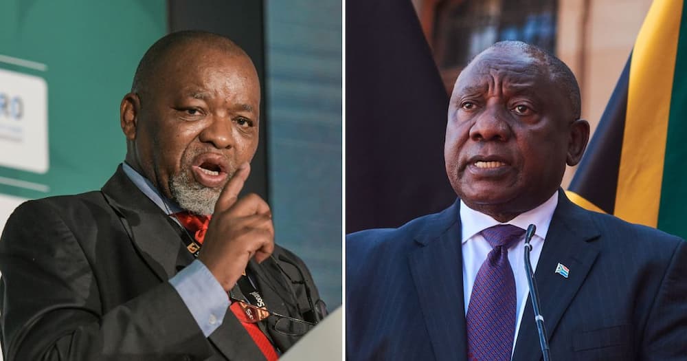 Gwede Mantashe, Cyril Ramaphosa, victim, crime, taxpayers' money, farm theft