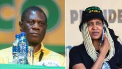 Duduzile Zuma says ANC deputy president Paul Mashatile "doesn't have that thing," SA questions her