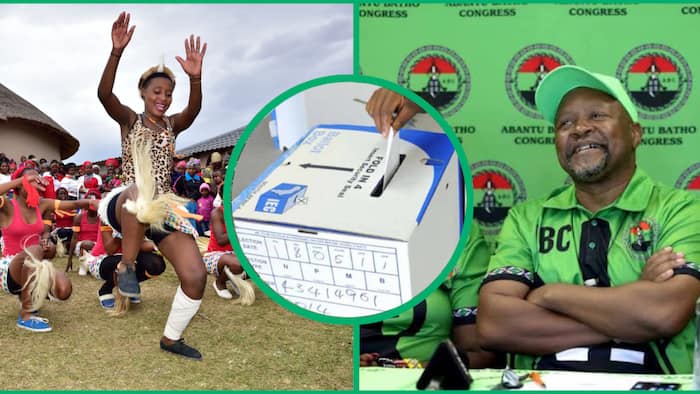 Elections 2024: Political party ABC causes stir, calls for independent Zulu state