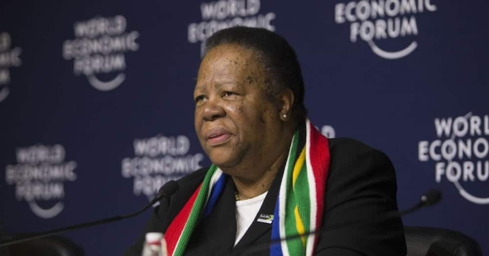 Naledi Pandor, travel bans, travel restrictions. Covid-19, new Covid variant, Singapore, UK, Germany, Israel