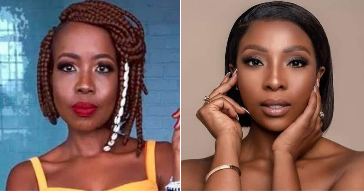 Ntsiki Mazwai Backs Pearl Modiadie Amid Sexual Harassment Claims ...