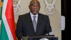 Cyril Ramaphosa claims govt will be cautious about only using Land Expropriation Bill for public purposes