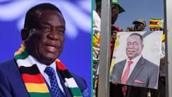 Zimbabwe elections: SA discuss expert's dire warning about post-election violence