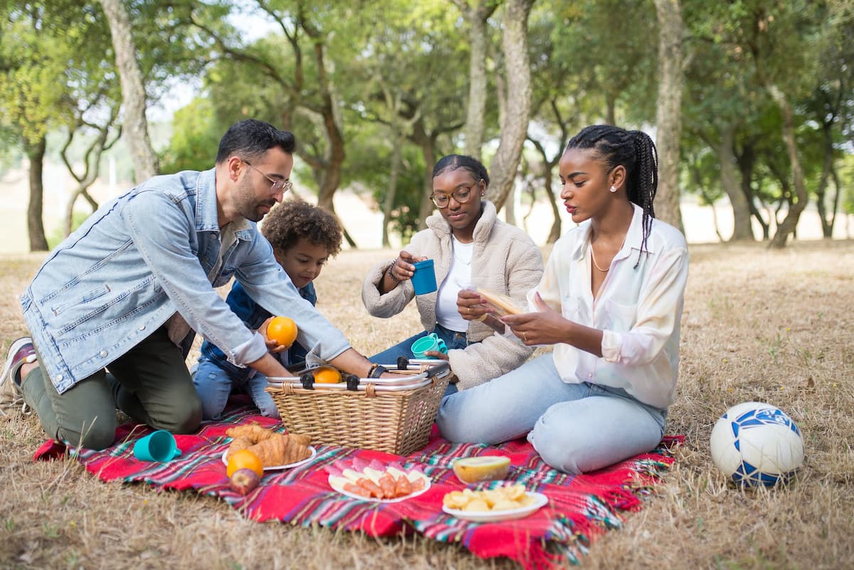 Top scenic 15 picnic spots in Johannesburg you should visit Briefly.co.za