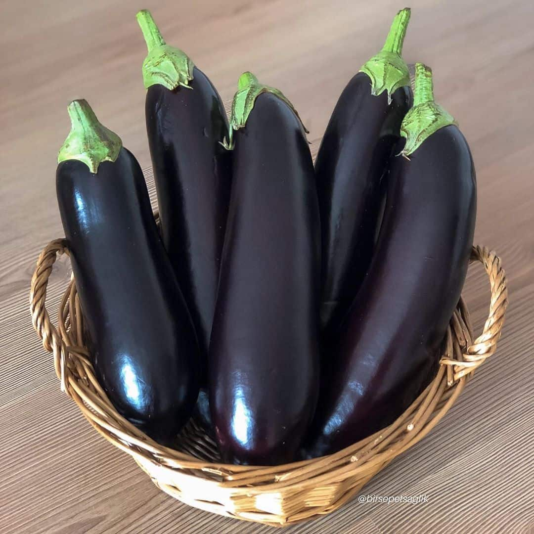 Here are the top 7 amazing aubergine recipes that you must try out