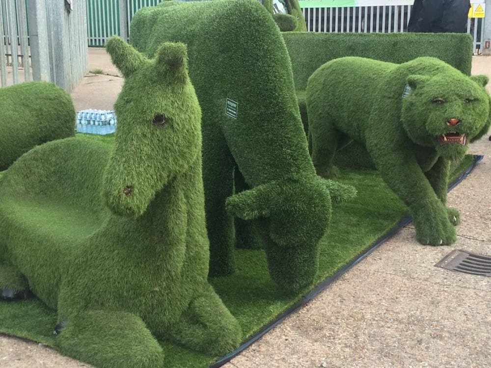 Artificial grass: 30 best usage ideas with pictures 2019 