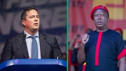 John Steenhuisen accuses Julius Malema of trying to ignite civil war in SA by singing ‘Kill the Boer’