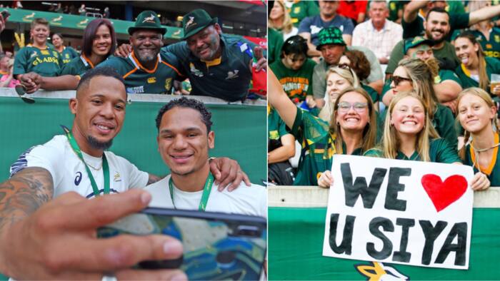 Springboks the solution to South Africa's problems, Mzansi thinks that rugby can fix the country