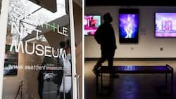This NFT museum in the United States aims to educate the public about the growing digital asset