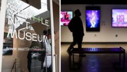 This NFT museum in the United States aims to educate the public about the growing digital asset